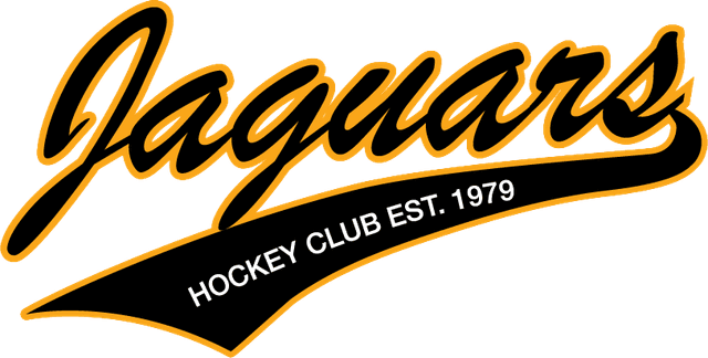 Hockey Logo